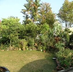 Serangoon Garden Estate (D19), Semi-Detached #560349581